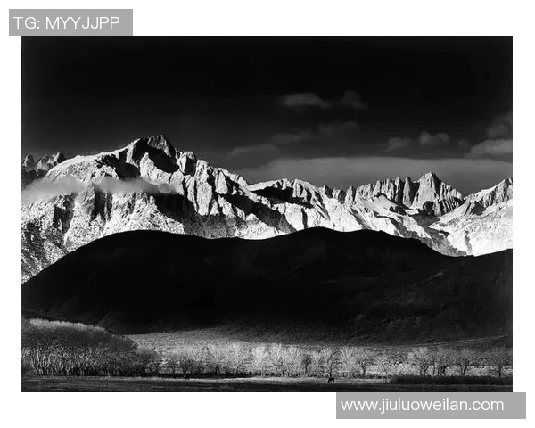 亚当斯的传奇人生与影响力探讨：从个人成就到社会变革的深远影响