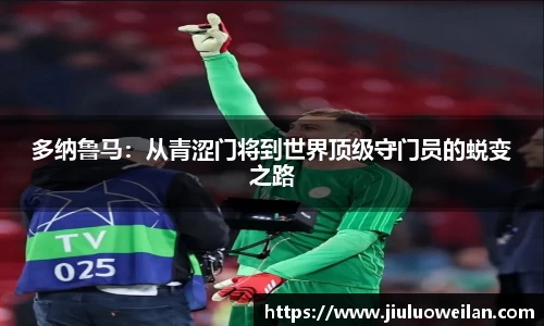 凤凰联盟官网入口