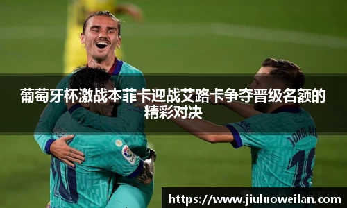 凤凰联盟官网入口